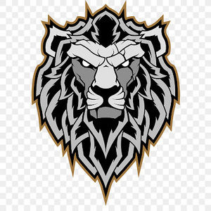 Meet your Posher, Ns_skar